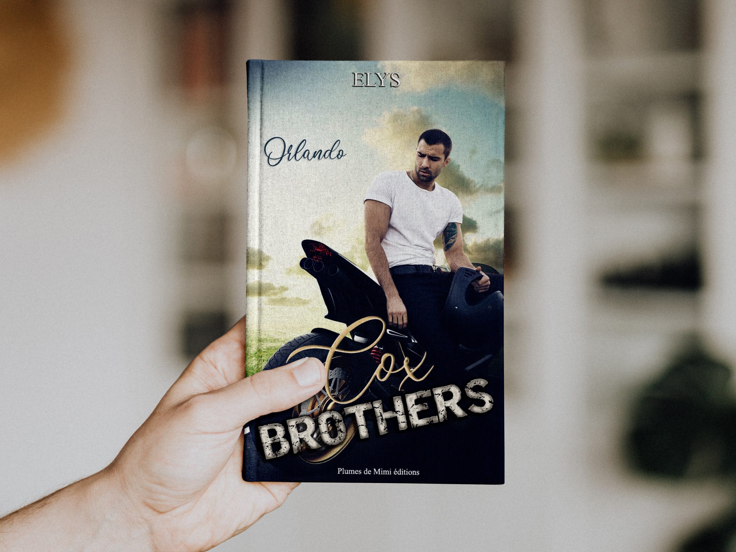 Cox Brothers : Tome 1 – Orlando d’Elys